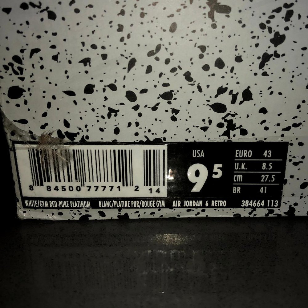 Jordan 6 "Alternate '91"